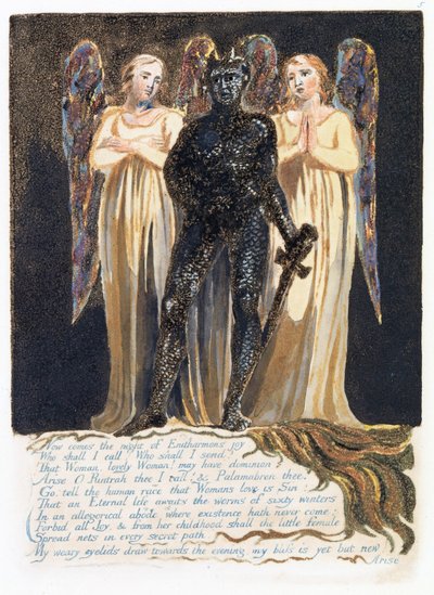 Illustrazione da 